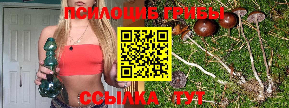 Псилоцибиновые грибы MAGIC MUSHROOMS  Вход с VPN  Пушкино 